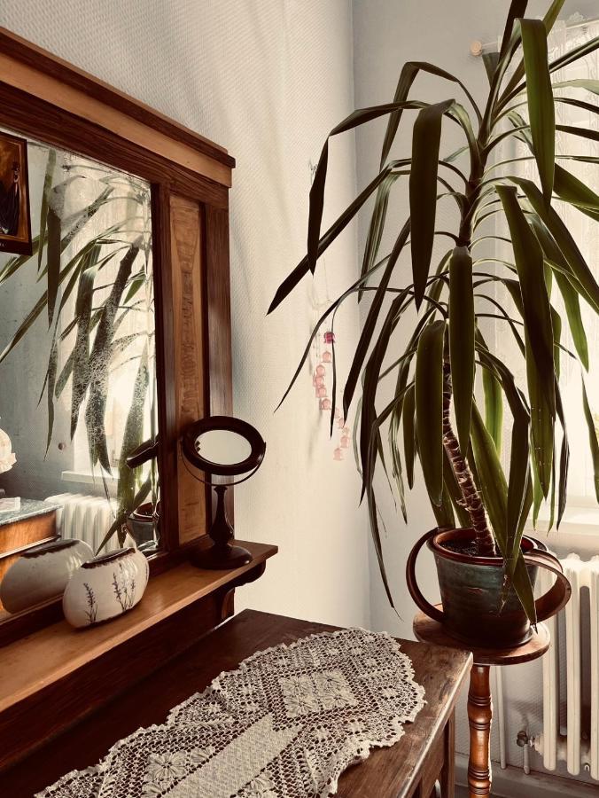 Ferienwohnung Geister Naumburg  Kültér fotó